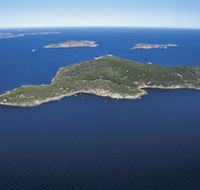 Woody Island Nature Reserve - Accommodation Southport