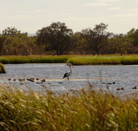 Anytime Adventures in Mandurah  the Peel Region - Southport Accommodation