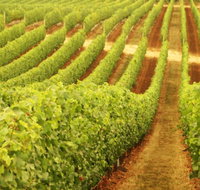 Fermoy Estate - Accommodation Southport