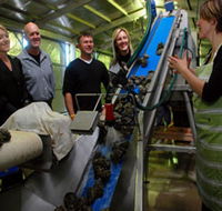 Eyre Peninsula's Seafood Trail - Accommodation Southport