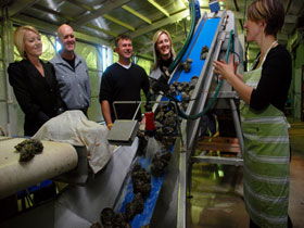 Eyre Peninsula's Seafood Trail - Accommodation Southport 0