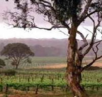 Yangarra Estate Vineyard - Southport Accommodation