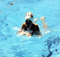Mount Gambier Aquatic Centre - Southport Accommodation