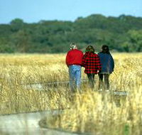 Onkaparinga River Recreation Park - Accommodation Southport