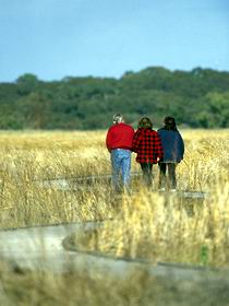 Onkaparinga River Recreation Park - Accommodation Southport 0