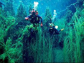 Cape Douglas SA Southport Accommodation