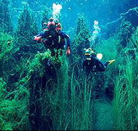 Ewens Ponds Conservation Park - Southport Accommodation