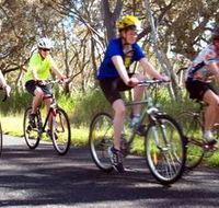 Penola Cycling Trails - Accommodation Southport