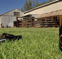 Wilkadene Woolshed Brewery - Southport Accommodation