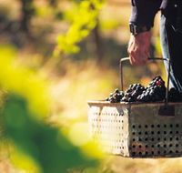 Burge Family Winemakers - Southport Accommodation