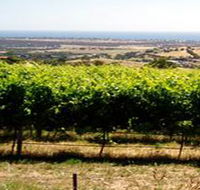 Braydun Hill Vineyard - Accommodation Southport