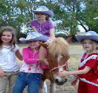 Amberainbow Pony Rides - Southport Accommodation
