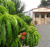 Gully Gardens - Southport Accommodation