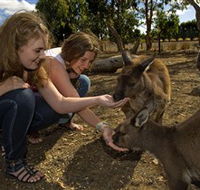 Kangaroo Island Wildlife Park - Accommodation Southport
