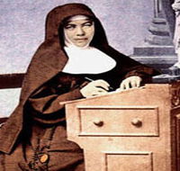 Mary MacKillop Penola Centre - Accommodation Southport