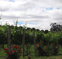 Manyara Vineyard - Southport Accommodation