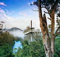 Tahune Adventures Tasmania - Accommodation Southport