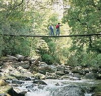 Arve Forest Drive - Accommodation Southport