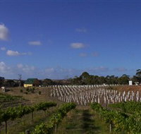 Deep Creek Wines and Alpacas - Accommodation Southport