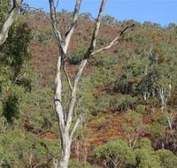 Black Hill Conservation Park - Accommodation Southport