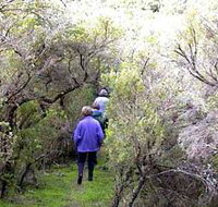 Jack And Hilda McArthur Walk - Accommodation Southport