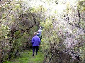 Jack And Hilda McArthur Walk - Accommodation Southport 0