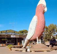 The Big Galah - Accommodation Southport