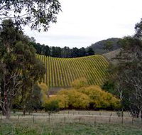 Mt Bera Vineyards - Southport Accommodation