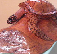 Ants Redgum Gallery - Accommodation Southport