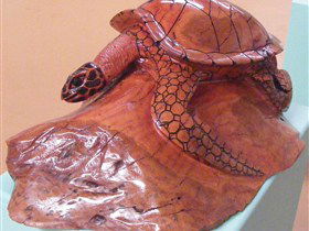 Ants Redgum Gallery - Southport Accommodation 0