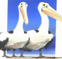 Bay of Shoals Wines - Accommodation Southport