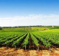 Aldinga Bay Winery - Accommodation Southport