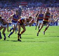 AAMI Stadium Tours - Accommodation Southport