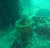 Wallaroo Scuba Club - Accommodation Southport