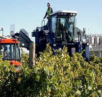 Ballast Stone Estate Wines Pty Ltd - Accommodation Southport