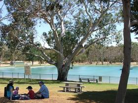 Naracoorte Nature Park And Swimming Lake - Accommodation Southport 0