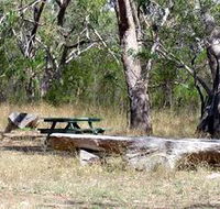 Penola Conservation Park - Accommodation Southport