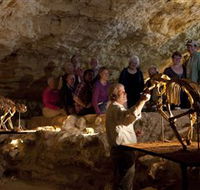 Naracoorte Caves National Park - Southport Accommodation