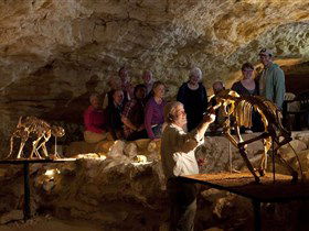 Naracoorte Caves National Park - Southport Accommodation 0