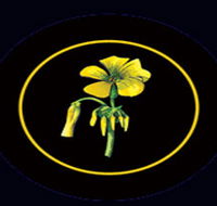 Battle of Bosworth Wines - Southport Accommodation