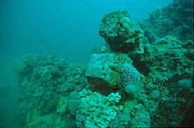 Adelaide's Underwater Heritage Trail - Southport Accommodation 0