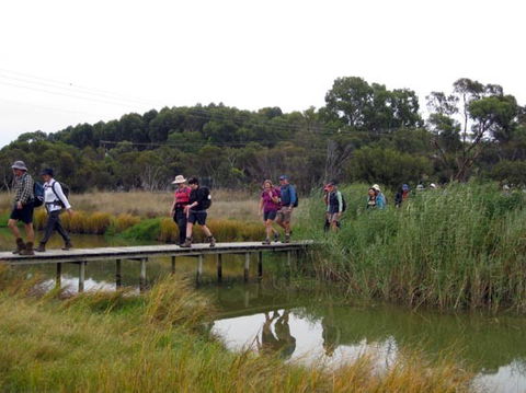 Lavender Federation Trail - Southport Accommodation 1