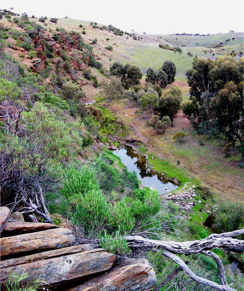 Lavender Federation Trail - Southport Accommodation 3