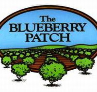 The Blueberry Patch - Accommodation Southport