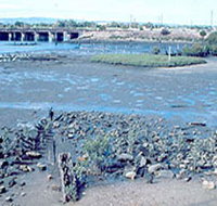 Jervois Basin Ships' Graveyard
