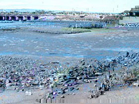 Jervois Basin Ships' Graveyard - Accommodation Southport 0