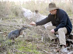Sinclair's Gully - Southport Accommodation 0
