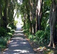 Adelaide Botanic Garden - Southport Accommodation
