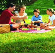 Bruny Island Berry Farm - Southport Accommodation