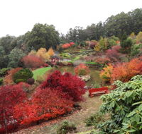 Emu Valley Rhododendron Garden - Accommodation Southport